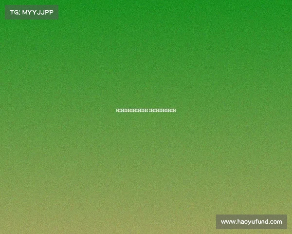 弗拉门戈再次报价塔雷米遭拒 球员只愿加盟意甲或英超 弗拉门戈再次报价塔雷米遭拒 球员只愿加盟意甲或英超